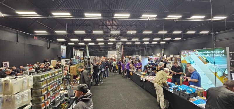 scale model challenge 2024